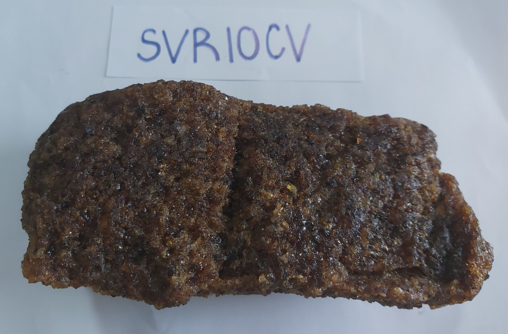 SVR 10CV